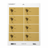 Kiefernschenkel (Vorne)