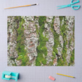 Kiefernspieß mit Moosspinnpapier Seidenpapier (Basteln)