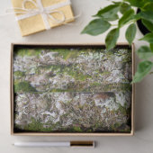 Kiefernspieß mit Moosspinnpapier Seidenpapier (Geschenk)