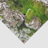 Kiefernspieß mit Moosspinnpapier Seidenpapier (Detail)