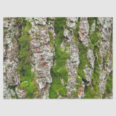 Kiefernspieß mit Moosspinnpapier Seidenpapier (Vorderseite)