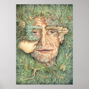 Kieferntrockner Poster