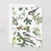 Kiefernvogel Blätter Postkarte (Vorne/Hinten)
