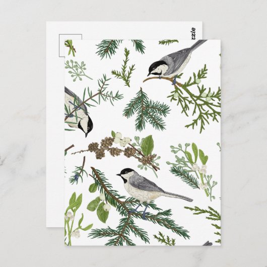 Kiefernvogel Blätter Postkarte (Vorne/Hinten)