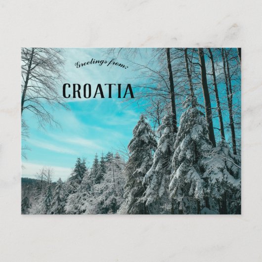 Kiefernwald bedeckt im Schneeplatak Kroatien Postkarte (Vorderseite)