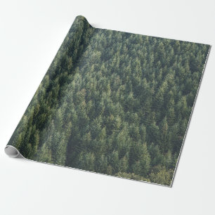 KIEFERNWALD GESCHENKPAPIER