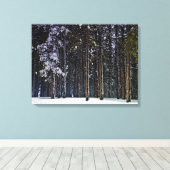 Kiefernwald mit Schnee - Zypern Leinwanddruck (Insitu (Holzboden))