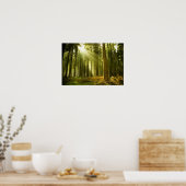 Kiefernwald mit Sonnenschein Poster (Küche)