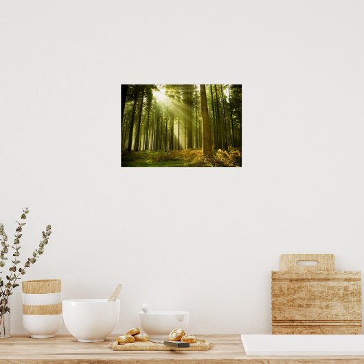 Kiefernwald mit Sonnenschein Poster (Küche)