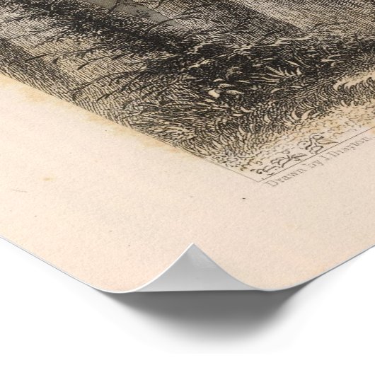 Kiefernwald, Oregon Poster (Ecke)