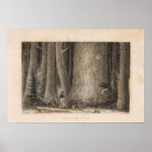 Kiefernwald, Oregon Poster (Vorne)