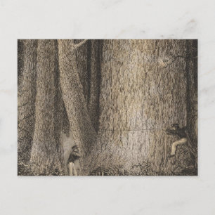 Kiefernwald, Oregon Postkarte