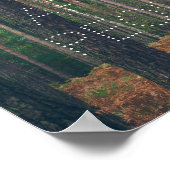 Kiefernwald Poster (Ecke)