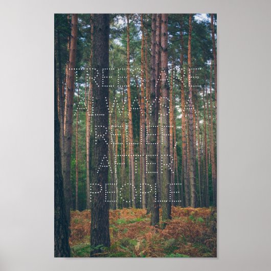 Kiefernwald Poster (Vorne)