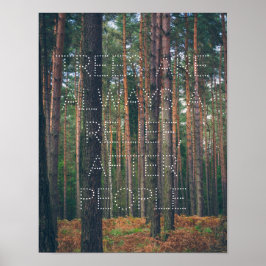 Kiefernwald Poster