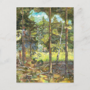 Kiefernwald Postkarte