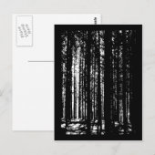 Kiefernwald Postkarte (Vorne/Hinten)