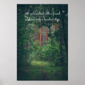 Kiefernwaldweg Poster (Vorne)