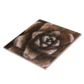 Kiefernzapfen Fliese (Seite)