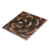 Kiefernzapfen Fliese (Seite)