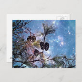 Kiefernzapfen in einem Baum unter einem Sternenhim Postkarte (Vorne/Hinten)