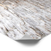 Kiefernzapfen Poster (Ecke)