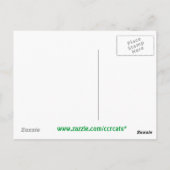 Kiefernzapfen Postkarte (Rückseite)