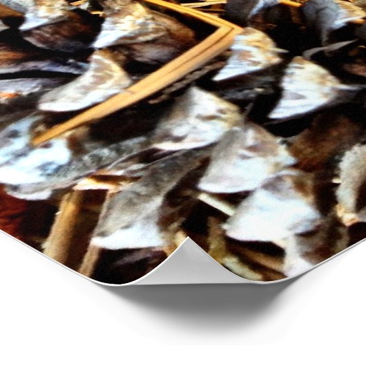 Kiefernzapfen und Kiefernnadeln Poster (Ecke)