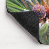 Kiefernzweig immergrün mousepad (Ecke)