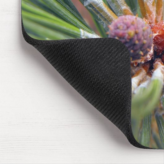 Kiefernzweig immergrün mousepad (Ecke)