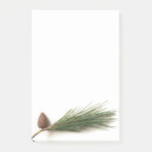 Kiefernzweig mit Pineconen Post-it Klebezettel (Vorderseite)