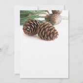 Kiefernzweig und -kegel (Vorderseite)