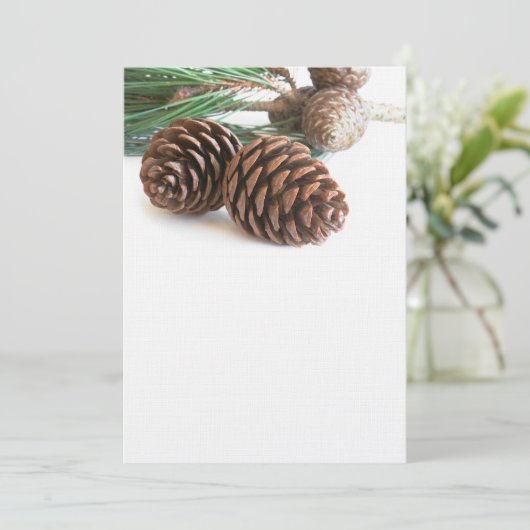 Kiefernzweig und -kegel (Stehend Vorderseite)