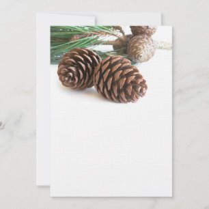 Kiefernzweig und -kegel