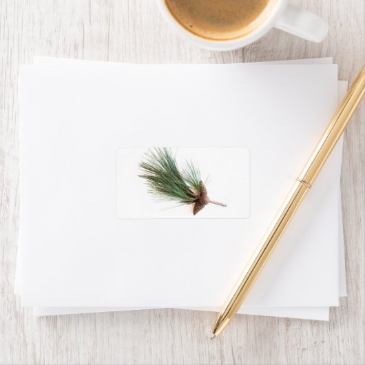 Kiefernzweig und -kegel adressaufkleber (Insitu)