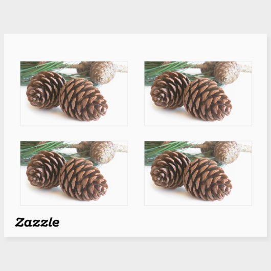 Kiefernzweig und -kegel rechteckiger aufkleber (Blatt)