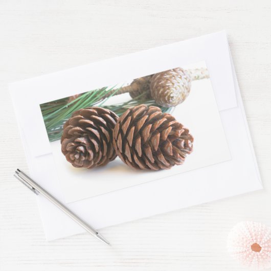 Kiefernzweig und -kegel rechteckiger aufkleber (Umschlag)