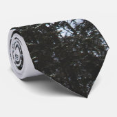 Kieferwald Krawatte (Gerollt)