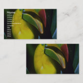 Kiel-berechnetes toucan visitenkarte (Vorne/Hinten)