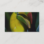 Kiel-berechnetes toucan visitenkarte (Rückseite)