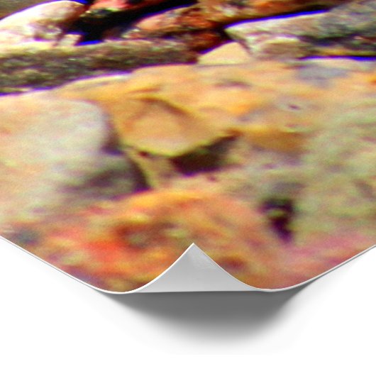 Kies Gestein bunte Textur Poster (Ecke)