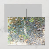 Kies in einer Stream-Postkarte Postkarte (Vorne/Hinten)