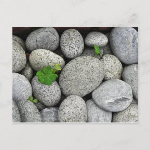 Kies Postkarte