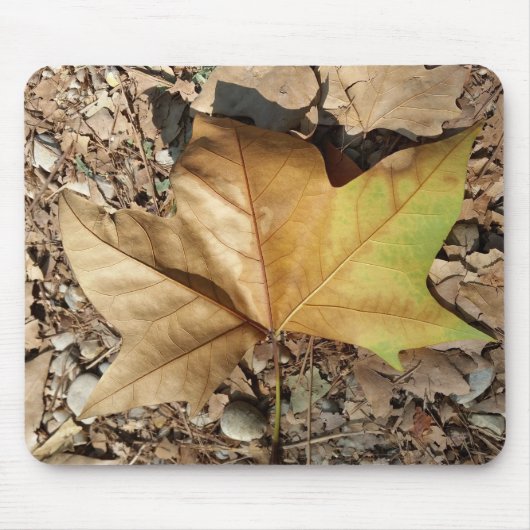 Kies und Blätter Mousepad (Vorne)