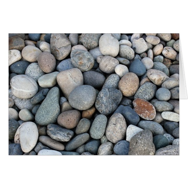 Kiesel (Vorderseite (Horizontal))
