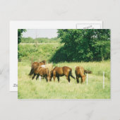 Kiesel, Lady, Zucker, Limited und Hüftpflaster Postkarte (Vorne/Hinten)