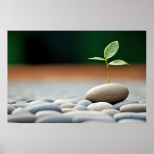 Kiesel Pflanze Ruhe Friedliche Natur Poster