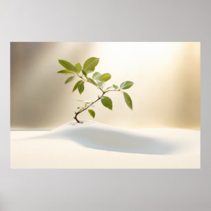 Kiesel Pflanze Ruhe Friedliche Natur Poster