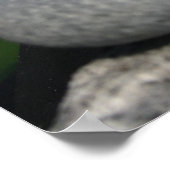 Kiesel Poster (Ecke)