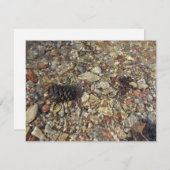 Kieselsteine in Taylor Creek Naturfotografie (Vorne/Hinten)